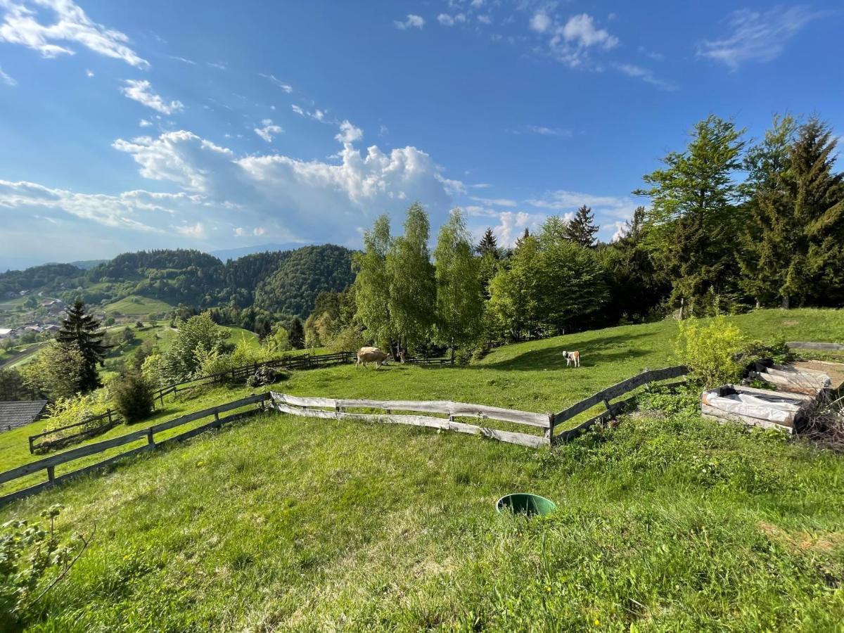 Mountain View Cottage Камник Экстерьер фото